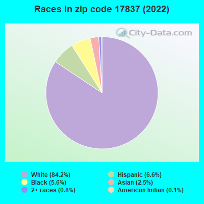 Races in zip code 17837 (2019)