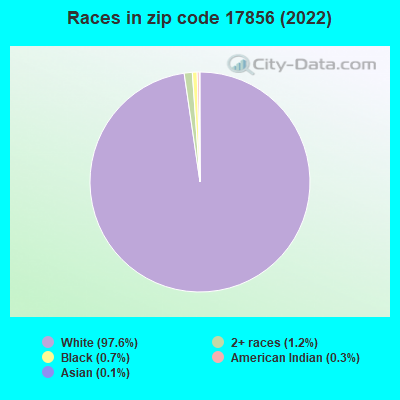Races in zip code 17856 (2022)