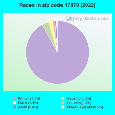 Races in zip code 17870 (2019)
