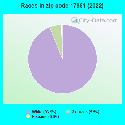 Races in zip code 17881 (2019)