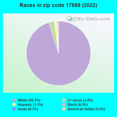 Races in zip code 17889 (2019)
