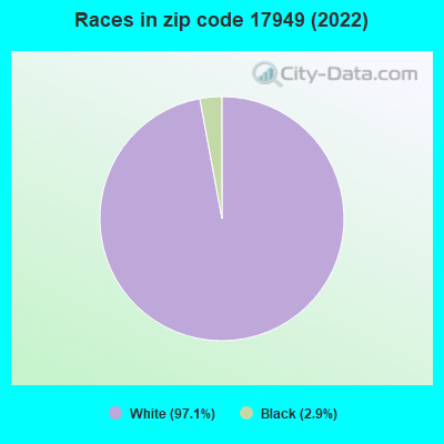 Races in zip code 17949 (2022)