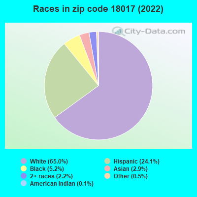 Races in zip code 18017 (2019)