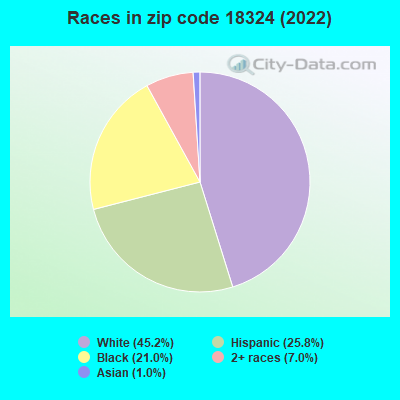 Races in zip code 18324 (2022)