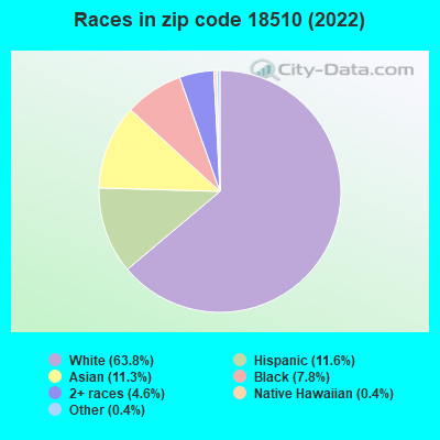Races in zip code 18510 (2022)