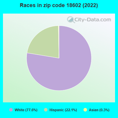 Races in zip code 18602 (2022)