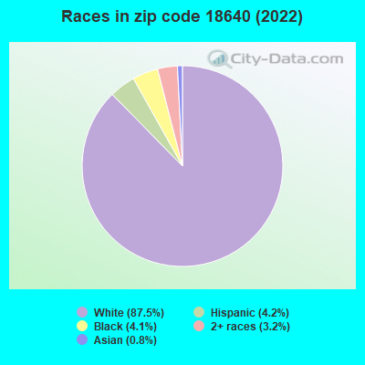 Races in zip code 18640 (2019)