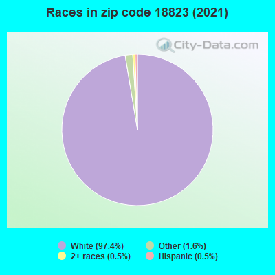 Races in zip code 18823 (2019)