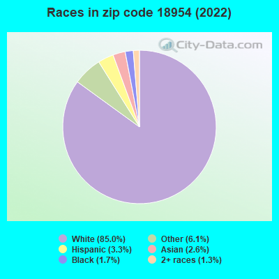 Races in zip code 18954 (2022)
