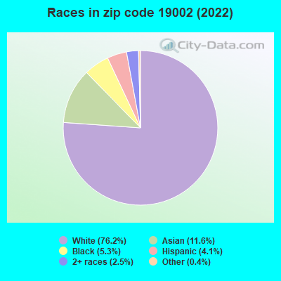 Races in zip code 19002 (2019)