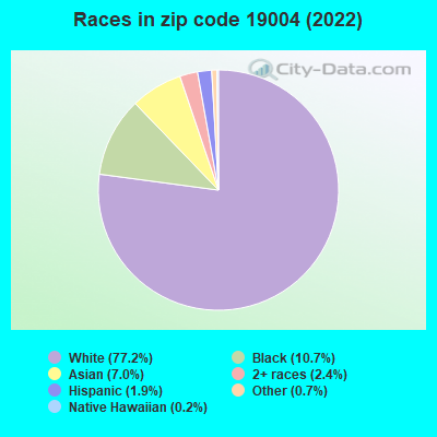 Races in zip code 19004 (2022)