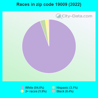 Races in zip code 19009 (2019)
