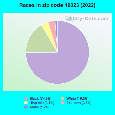 Races in zip code 19023 (2019)