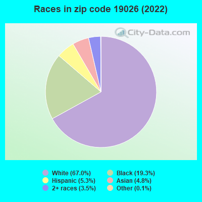 Races in zip code 19026 (2019)