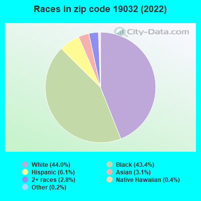 Races in zip code 19032 (2022)