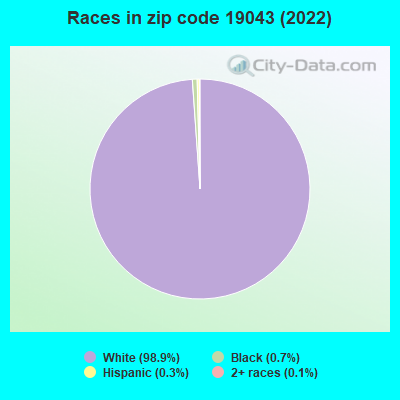 Races in zip code 19043 (2022)