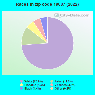 Races in zip code 19087 (2022)