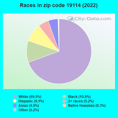 Races in zip code 19114 (2021)