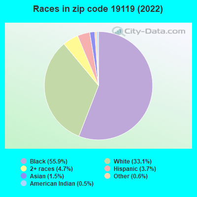 Races in zip code 19119 (2019)