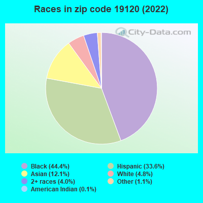 Races in zip code 19120 (2021)