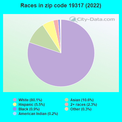 Races in zip code 19317 (2019)