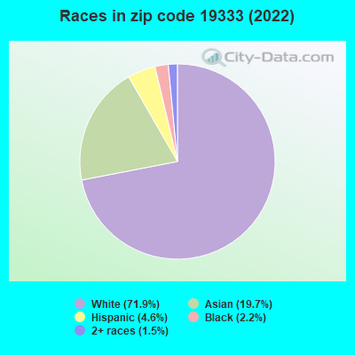 Races in zip code 19333 (2022)