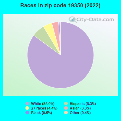 Races in zip code 19350 (2022)
