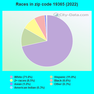 Races in zip code 19365 (2019)