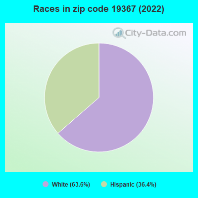 Races in zip code 19367 (2022)