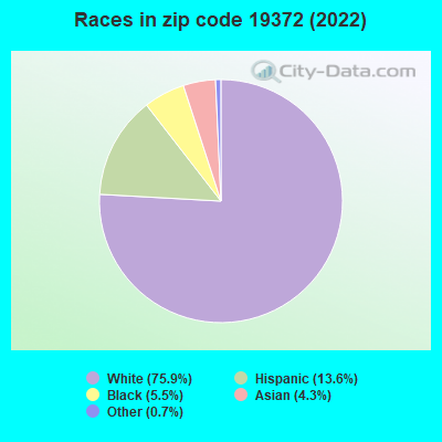 Races in zip code 19372 (2022)