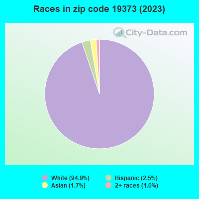 Races in zip code 19373 (2019)