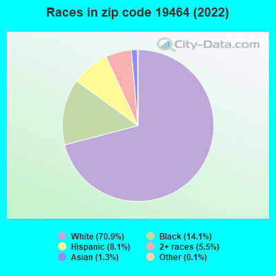 Races in zip code 19464 (2019)