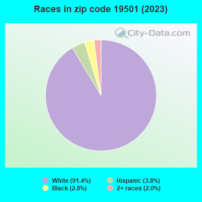 Races in zip code 19501 (2021)