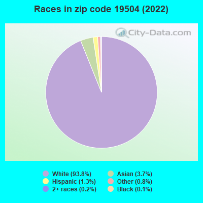 Races in zip code 19504 (2019)