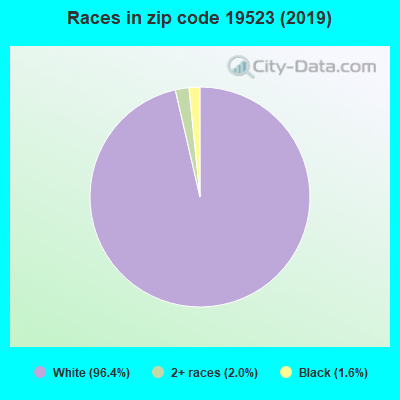 Races in zip code 19523 (2019)
