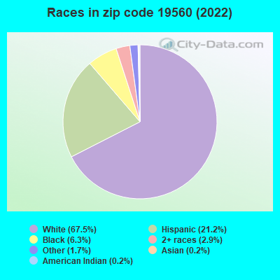 Races in zip code 19560 (2019)