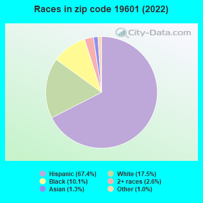 Races in zip code 19601 (2022)