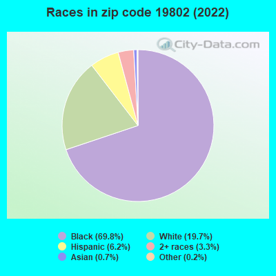 Races in zip code 19802 (2021)