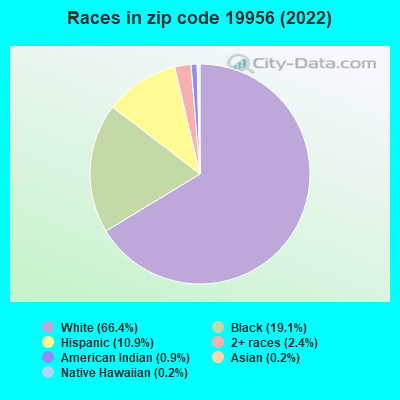 Races in zip code 19956 (2022)