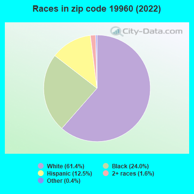 Races in zip code 19960 (2022)