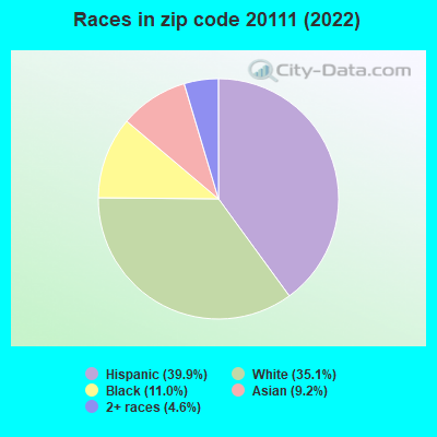 Races in zip code 20111 (2022)