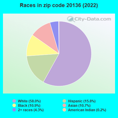 Races in zip code 20136 (2022)
