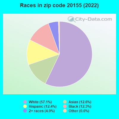 Races in zip code 20155 (2022)