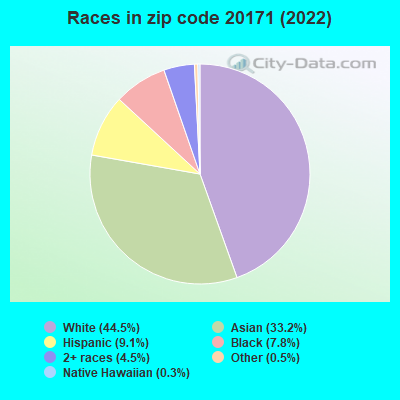 Races in zip code 20171 (2022)