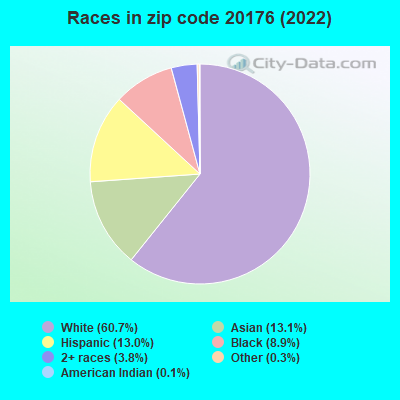 Races in zip code 20176 (2021)