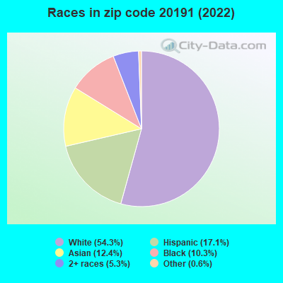 Races in zip code 20191 (2019)