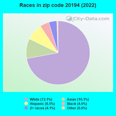 Races in zip code 20194 (2022)