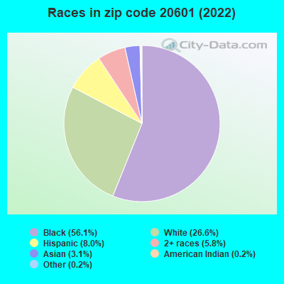 Races in zip code 20601 (2019)