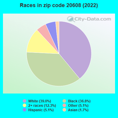 Races in zip code 20608 (2022)