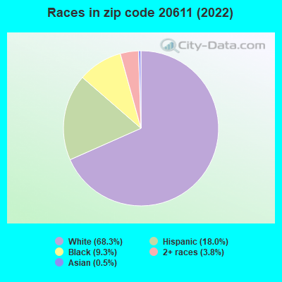 Races in zip code 20611 (2019)